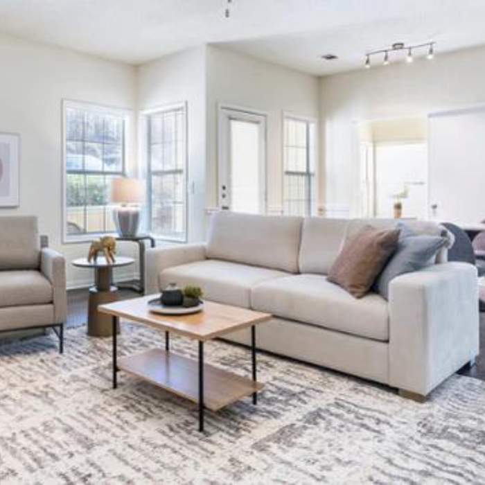 8'x10' Large Grey & Cream Ultra Soft Mico-Shag Area Rug