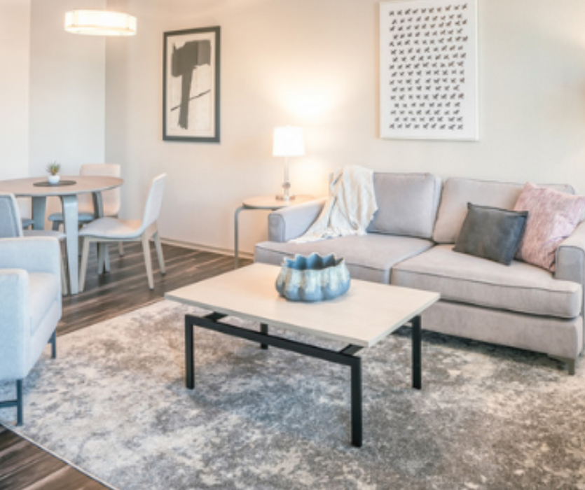 8'x10' Large Cream/Grey Ultra Soft  Micro-Shag Area Rug