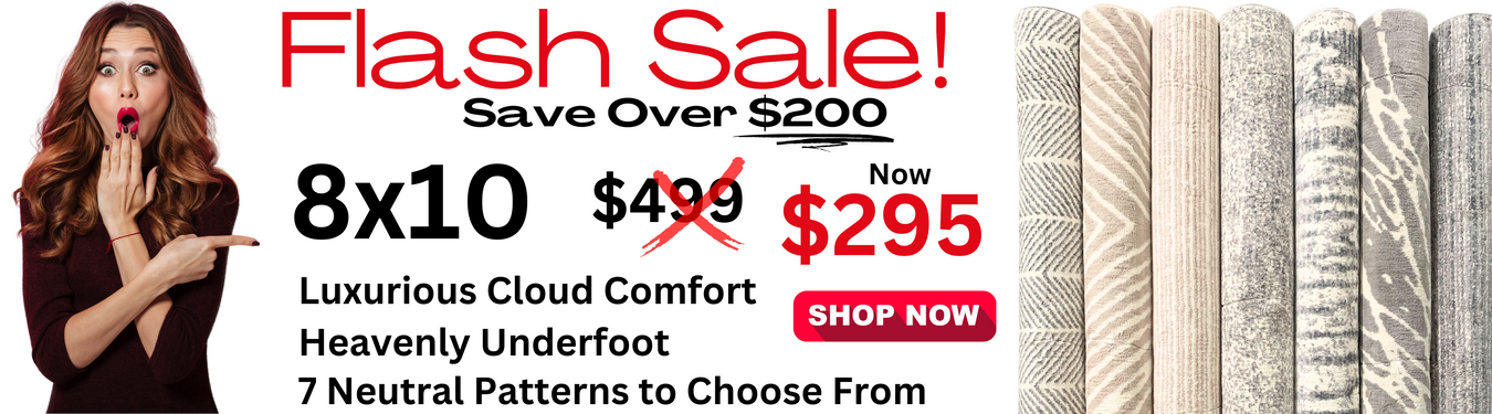 8'x10' Gorgeous Ultra Soft Area Rugs Sale Price $295!