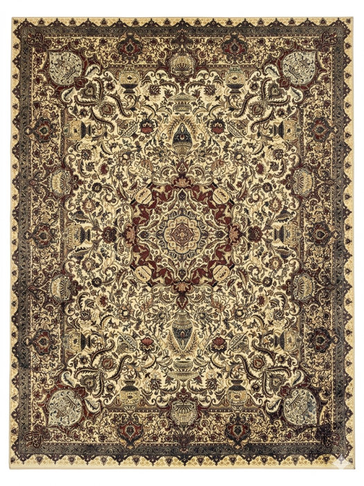 7' x 9' Rectangular Beige & Burgundy Floral Traditional Area Rug isolated on a white background.