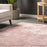 5 ft. x 8 ft. Pink Loni Solid Area Rug by nuLOOM