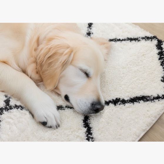 5'3" x 7'7" Simple Shag White Black Trellis Indoor Area Rug