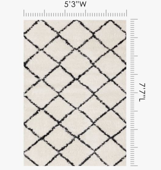 5'3" x 7'7" Simple Shag White Black Trellis Indoor Area Rug