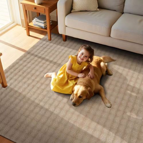 Aurora 8 ft. x 10 ft. Beige Non-Slip Rubber Back Washable Polyester Checker Indoor Area Rug