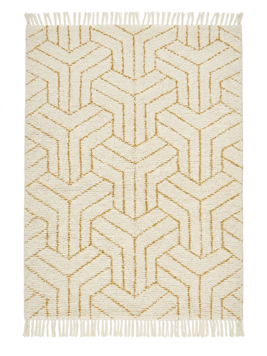 5' x 7' Area Rug