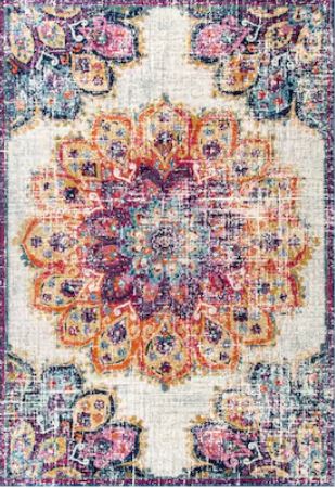 8 X 10 (ft) Indoor Distressed/Overdyed Bohemian/Eclectic Area Rug by nuLOOM