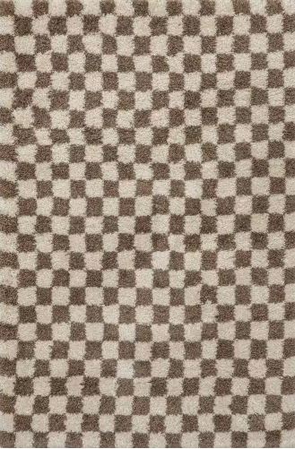 5 ft. x 8 ft. Beige Adelaide Checkered Shag Area Rug by nuLOOM