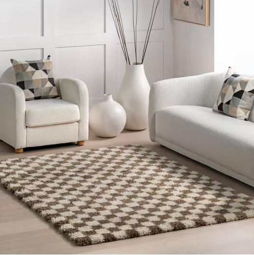 5 ft. x 8 ft. Beige Adelaide Checkered Shag Area Rug by nuLOOM