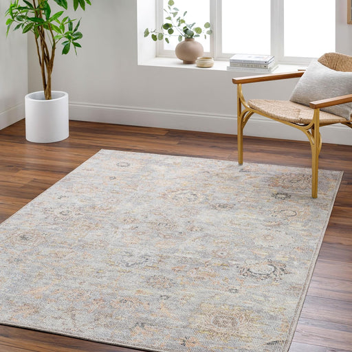 Surya x Our PNW Home Olympic Updated Traditional Area Rug, 2'2" x 3'9", Pale Blue