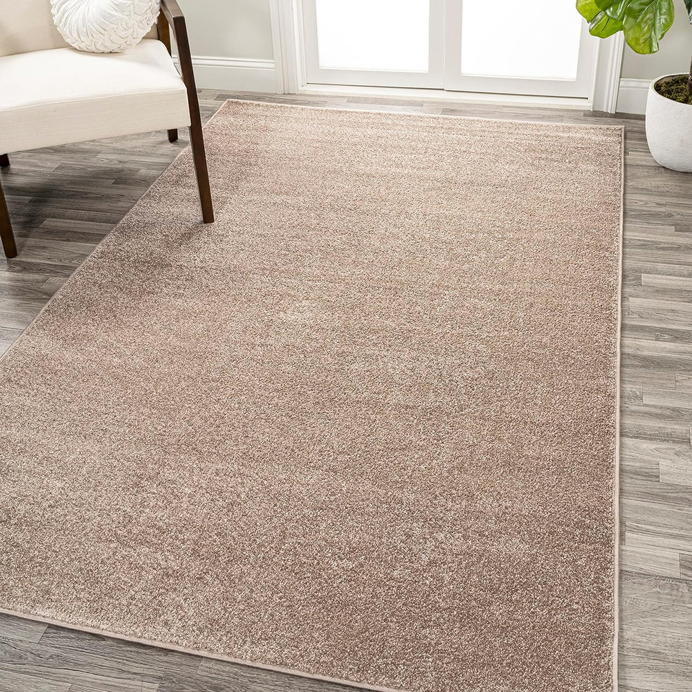 4 ft x 6 ft, Beige Contemporary Solid Traditional Indoor Area-Rug