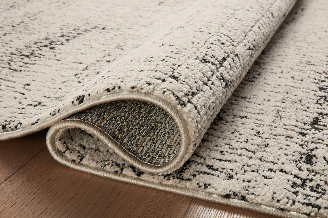 Loloi II Darby Collection DAR-02 Oatmeal/Charcoal 2'-7" x 4' Accent Rug