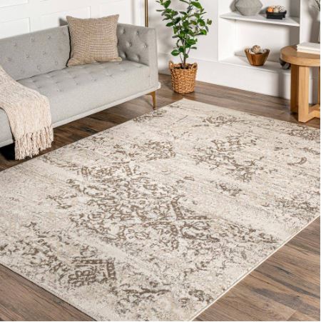 5 ft. x 8 ft. Beige Vintage nuLOOM Area Rug