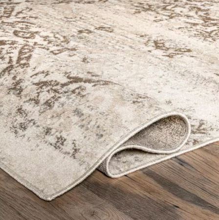 5 ft. x 8 ft. Beige Vintage nuLOOM Area Rug