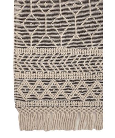 Willow 5 ft. x 7 ft. Black/Ivory Hand-woven Geometric Area Rug