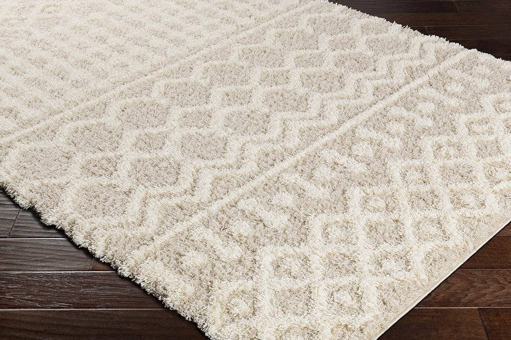 Livabliss Hapsburg Moroccan Shag Area Rug, 5'3" x 7'3", Beige