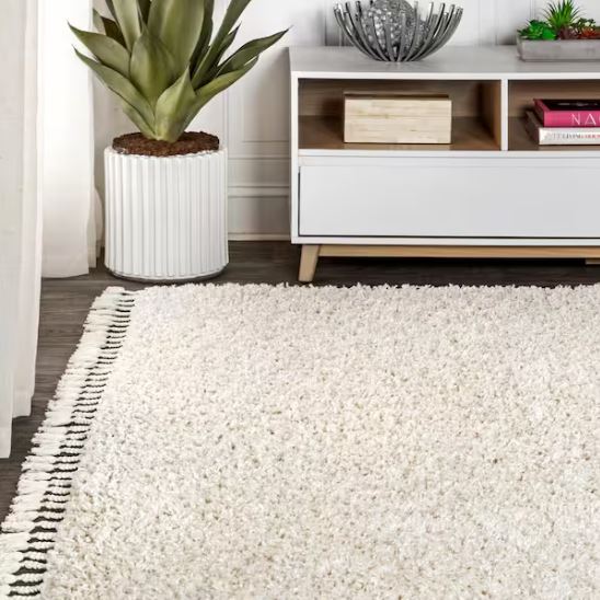 5 ft. x 8 ft. Mercer Shag Plush Tassel Cream Area Rug
