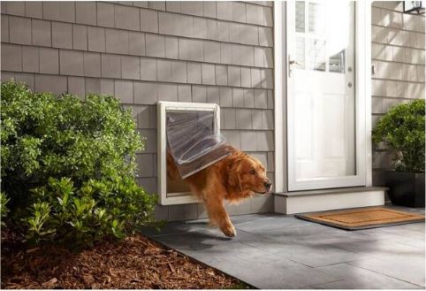 DirtBuster Single Picture Frame Black 24 in. x 57 in. Coir with Rubber Border Door Mat