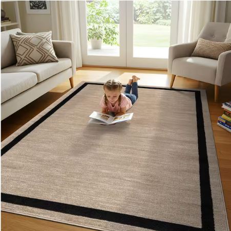 8 ft. x 10 ft. Aura Beige Washable Modern Bordered Indoor Area Rug