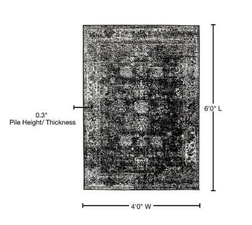 Sofia Casino Black 4' 0 x 6' 0 Area Rug