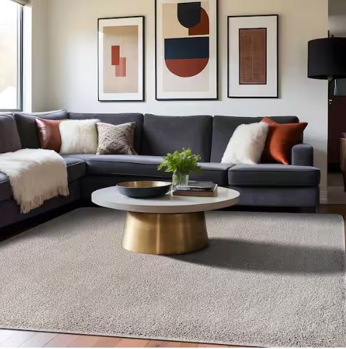 Silky Gray 3 ft. x 5 ft. Solid Plus Thick Pile Non Slip Easy Clean Non Shedding Modern Indoor Area Rug
