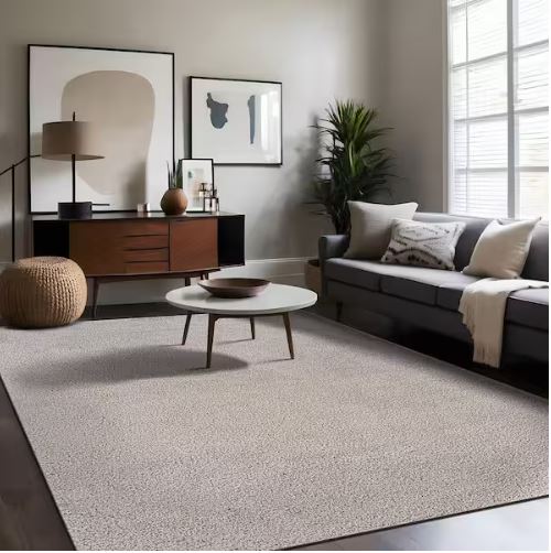 Silky Gray 3 ft. x 5 ft. Solid Plus Thick Pile Non Slip Easy Clean Non Shedding Modern Indoor Area Rug
