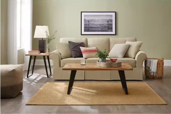 Safi Natural 8 ft. x 10 ft. Area Rug