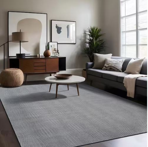 Serenity Gray Solid 8 ft. x 10 ft. Modern Non Skid Soft Indoor Area Rug