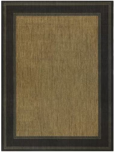Black/Brown 4 x 6 Border Indoor/Outdoor Area Rug