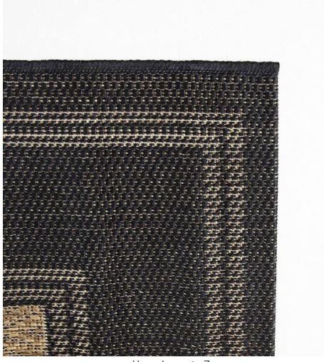 Black/Brown 4 x 6 Border Indoor/Outdoor Area Rug