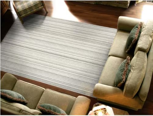 Carnival Stripe Earthtone 4 ft. x 6 ft. Area Rug