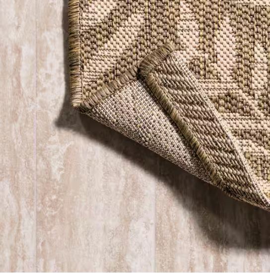 Nevis Palm Frond Brown/Beige 5 ft. x 8 ft. Indoor/Outdoor Area Rug
