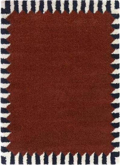 Vasile Rust 5 ft. x 7 ft. Border Area Rug
