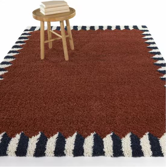 Vasile Rust 5 ft. x 7 ft. Border Area Rug