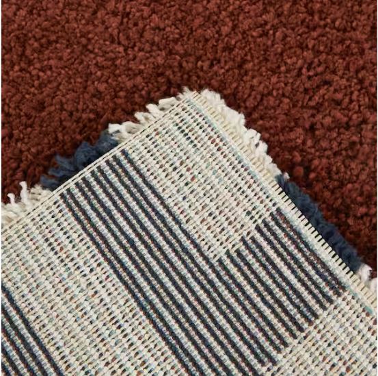 Vasile Rust 5 ft. x 7 ft. Border Area Rug