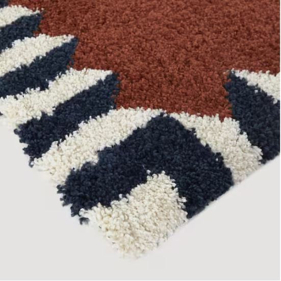 Vasile Rust 5 ft. x 7 ft. Border Area Rug