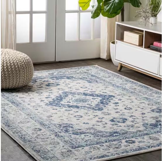 Indhira Blue/Gray 8 ft. x 10 ft. Ornate Medallion Persian Area Rug