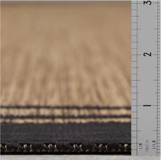 Terrace Black 5 ft. x 7 ft. Border Indoor/Outdoor Area Rug