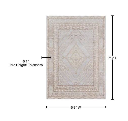 Isabella Grey 5 ft. 3 in. x 7 ft. 3 in. Indoor Area Rug