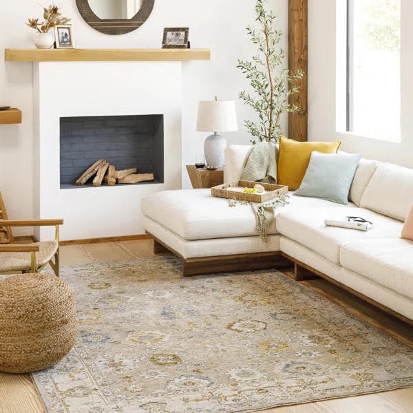 Novalee Oriental Indoor Rug