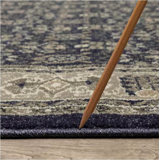 Gianna Indigo 8 ft. x 10 ft. Border Area Rug