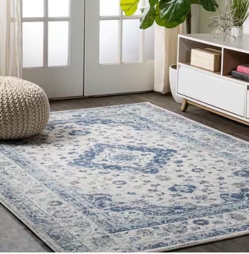 Indhira Blue/Gray 8 ft. x 10 ft. Ornate Medallion Persian Area Rug