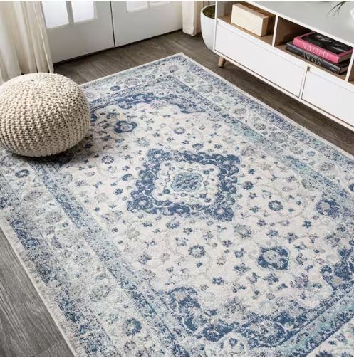 Indhira Blue/Gray 8 ft. x 10 ft. Ornate Medallion Persian Area Rug
