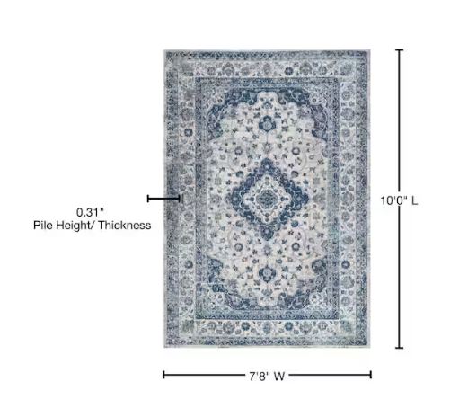 Indhira Blue/Gray 8 ft. x 10 ft. Ornate Medallion Persian Area Rug