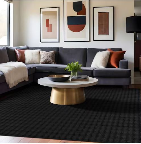 Aurora 8 ft. x 10 ft. Black Non-Slip Rubber Back Washable Polyester Checker Indoor Area Rug