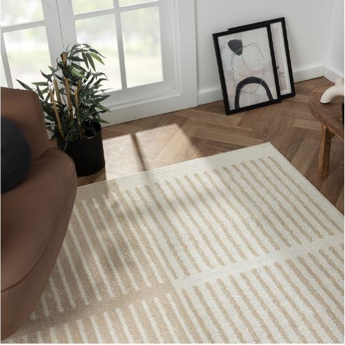 6' x 9' Nuevo Geometric Beige Rug