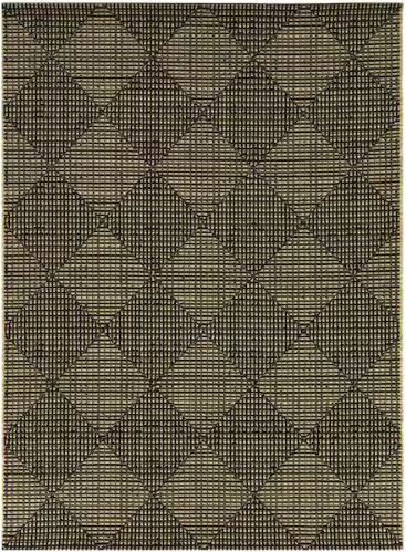 Chasewood Dark Brown 8 ft. x 10 ft. Geometric Indoor/Outdoor Area Rug