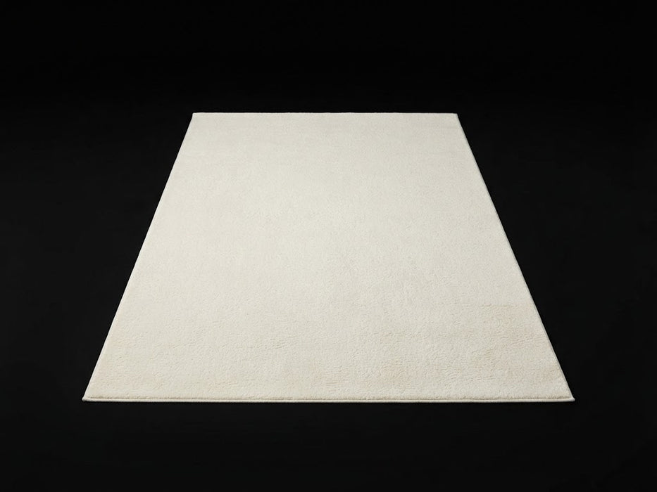 3' x 5' Area Rug
