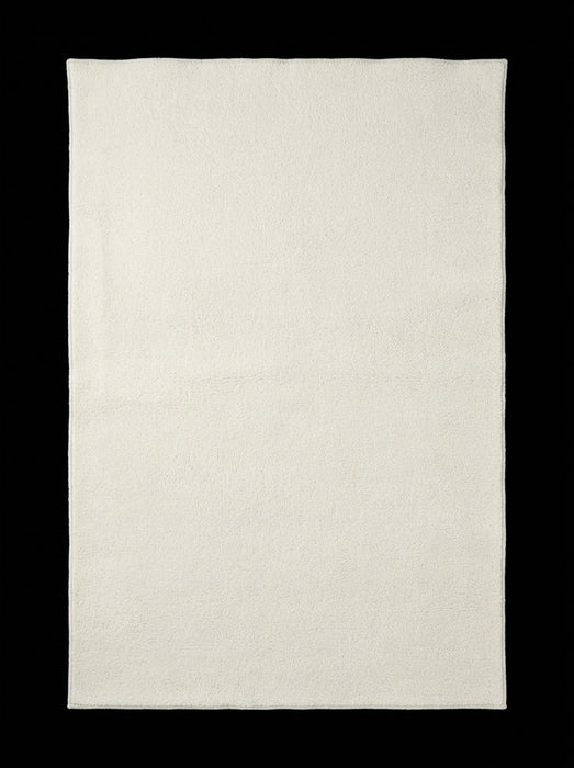 4' x 6' Area Rug