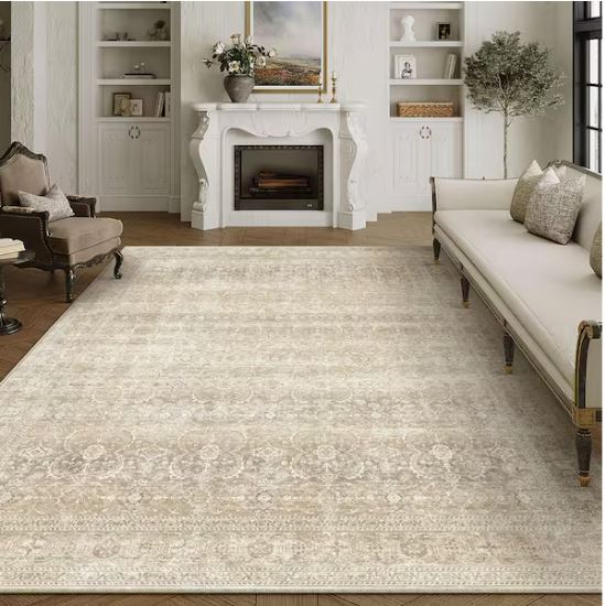 Holly Beige 9 ft. x 12 ft. Distressed Vintage Floral Area Rug