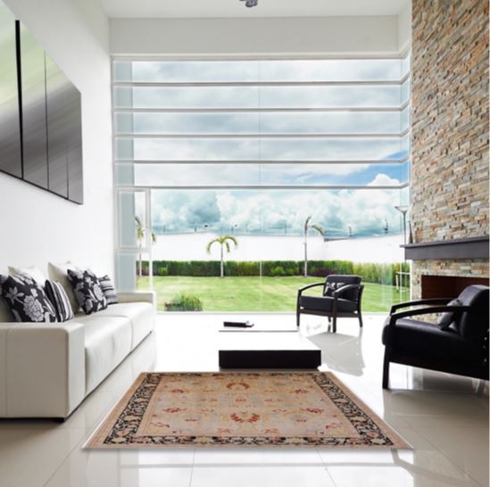 7x9 Sienna Brown Mid-Century Modern Oriental Area Rug